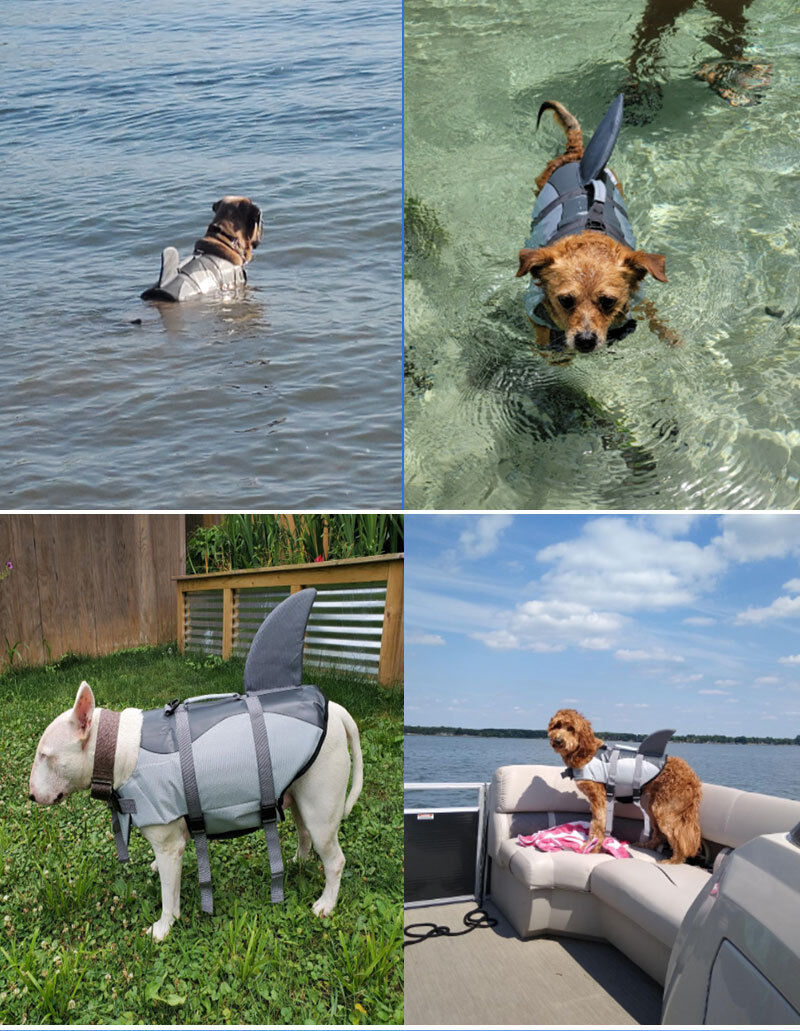 Pet products Dog Life Jacket, Cute Shark Dog Life Vest for Swimming Boating with Superior Buoyancy and Rescue Handle, Adjustable Puppy Floating Swim Vest for Small Medium Large Dogs(XL)