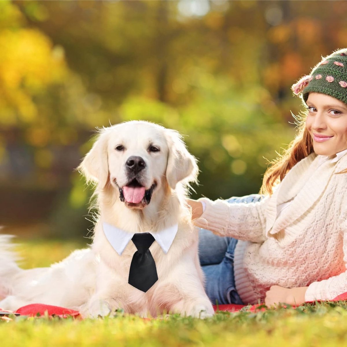 - Animal Costume Set - Luxury Tie and Bow Tie for Animals - Suitable for Dachshunds to Border Collies - Adjustable - Tie for Dog - Cat Clothing - Bow Tie for Dog - Dog Bow Tie - Dog Toy - Christmas Dog Bow Tie - Christmas Rug - Gift