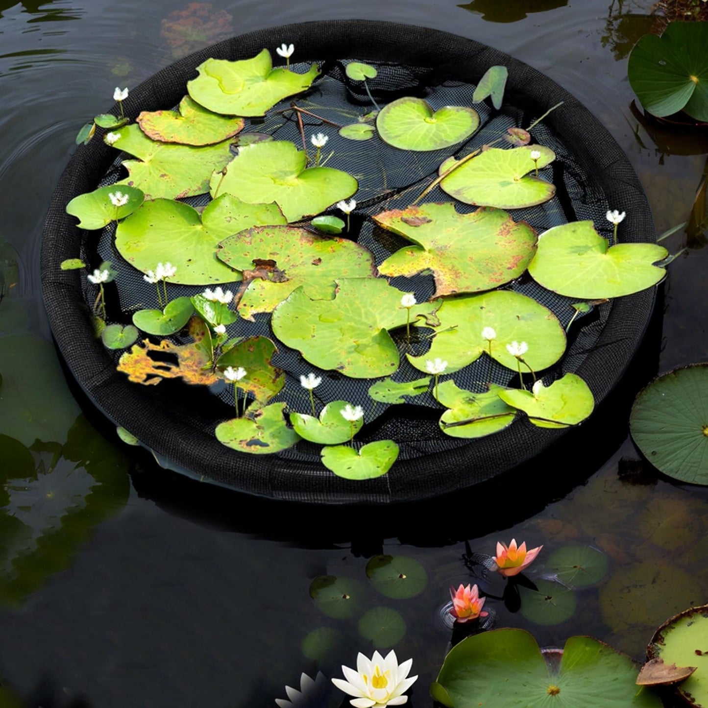 1Pack Floating Flora Fish Barrier Floating Island Plant Protector Round Floating Flora Island for Pond Protects Your Floating Plants from Pond Fish(black 45cm)