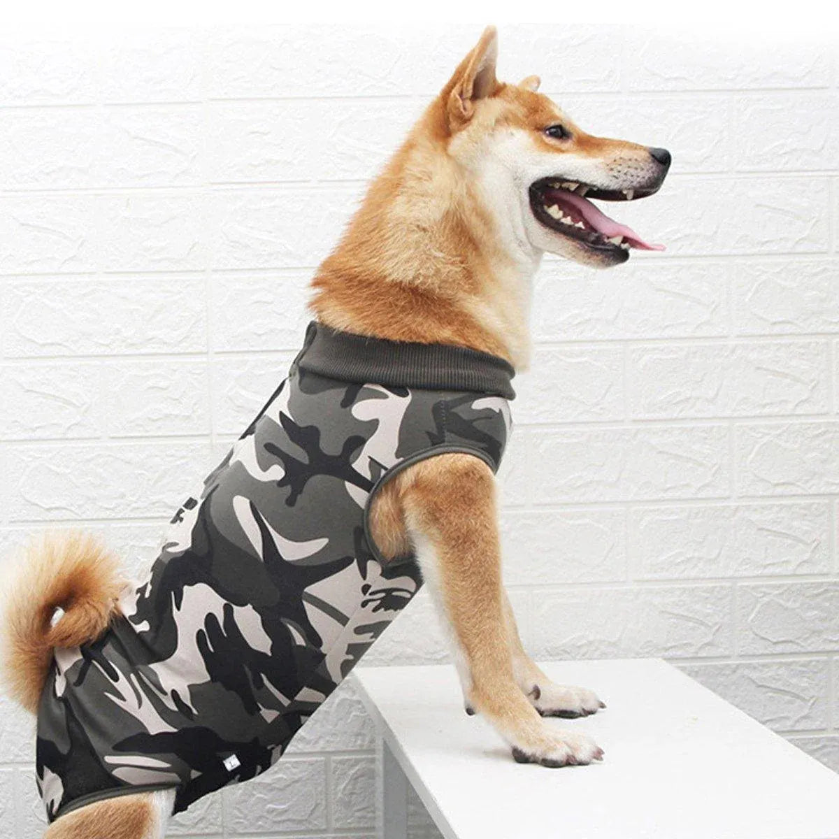 Dog Recovery Suit Anti-Lick Wound Protector Pet Clothing Post-Surgery Belly - Camouflage-XL