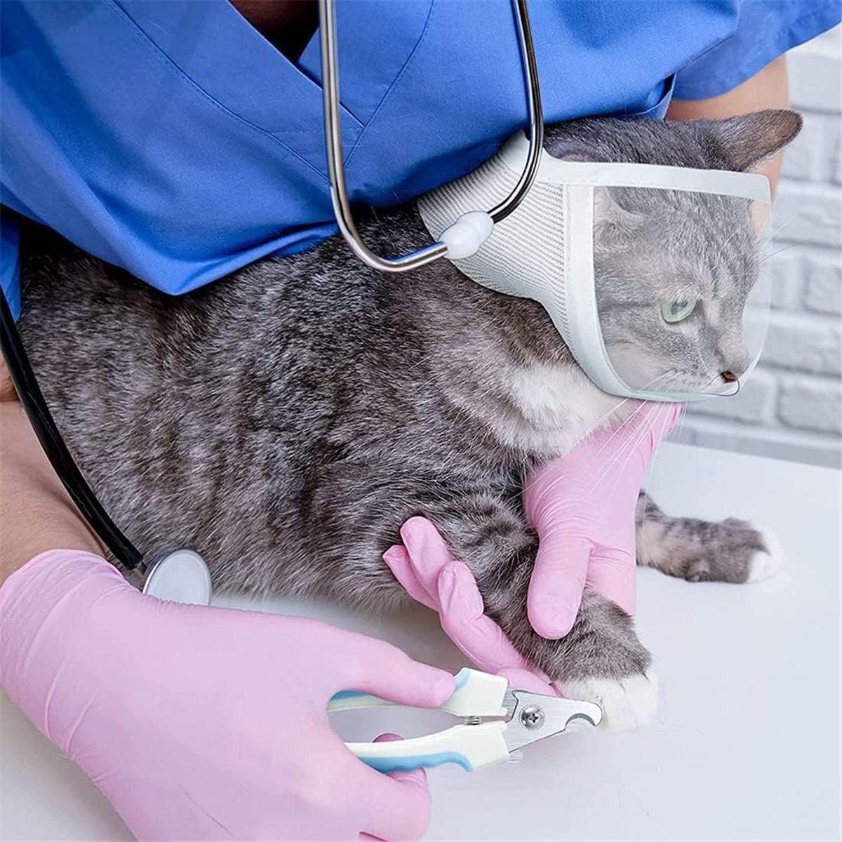 Breathable Pet Headgear Clear Cat Dog Mask Anti Bite Scratch Protective Gear - S