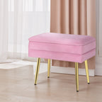 Artiss Ottoman Storage Foot Stool Vanity Velvet Pink