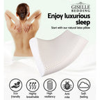 Giselle Bedding Natural Latex Pillow 2-Zone Twin Pack