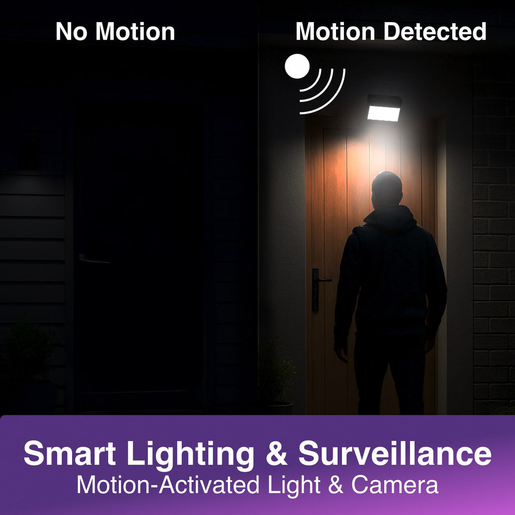 Laser Outdoor Wall Light Camera Twin Pack