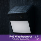 Laser Outdoor Wall Light Camera Twin Pack
