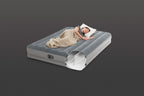 INTEX Queen Dura-Beam® Standard Prestige Air Mattress 12" Queen w/ Built-In USB Electric Pump 64114