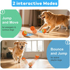 pet products Electric bouncing ball for grinding teeth and teasing pets