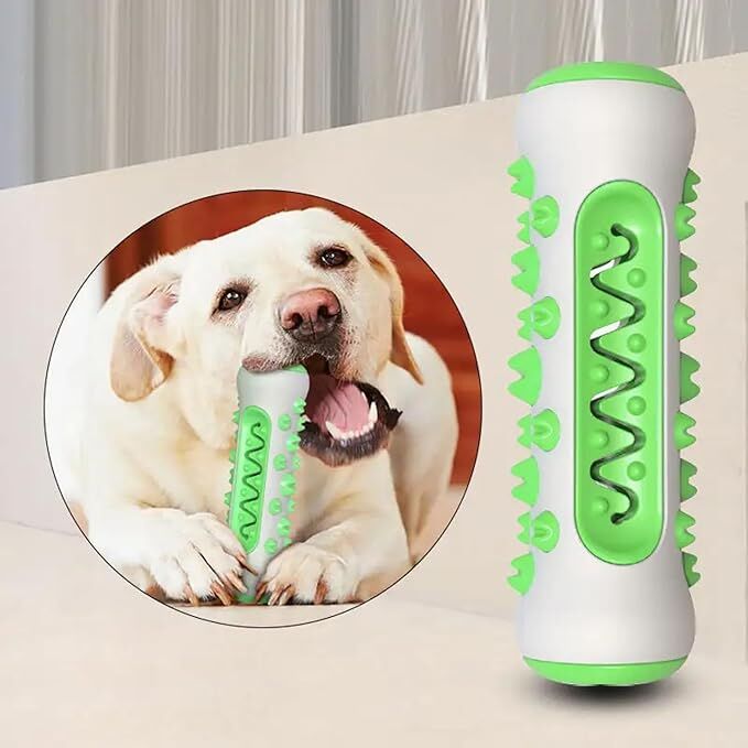 Dog Chew Toy: Durable Nylon & TPR, Teeth Cleaning Bone for Aussie Dogs