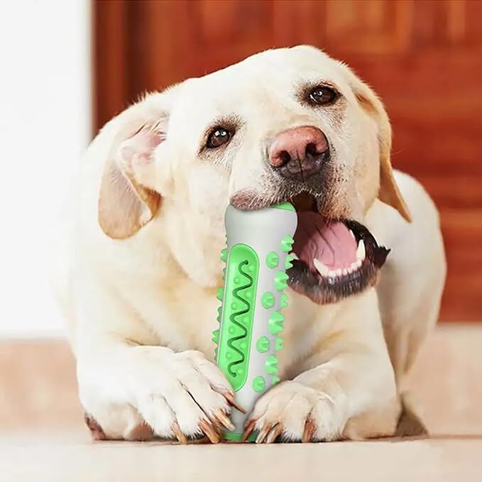 Dog Chew Toy: Durable Nylon & TPR, Teeth Cleaning Bone for Aussie Dogs