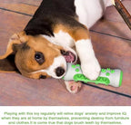 Dog Chew Toy: Durable Nylon & TPR, Teeth Cleaning Bone for Aussie Dogs