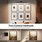 Wall Picture Light, 24in Battery-Powered Gallery Light for Artwork, CCT Dimmable Rechargeable Battery Wall Lamp with Remote Control for Living Room, Gallery, and Dartboard (Black)