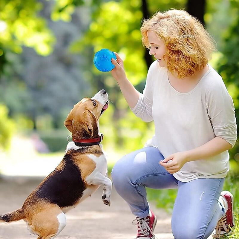 Dog Toys Balls, Sound Toys Balls, Dog Chew Ball Toy, Puppy Molar Teeth Cleaning Ball, For Small And Medium Dogs