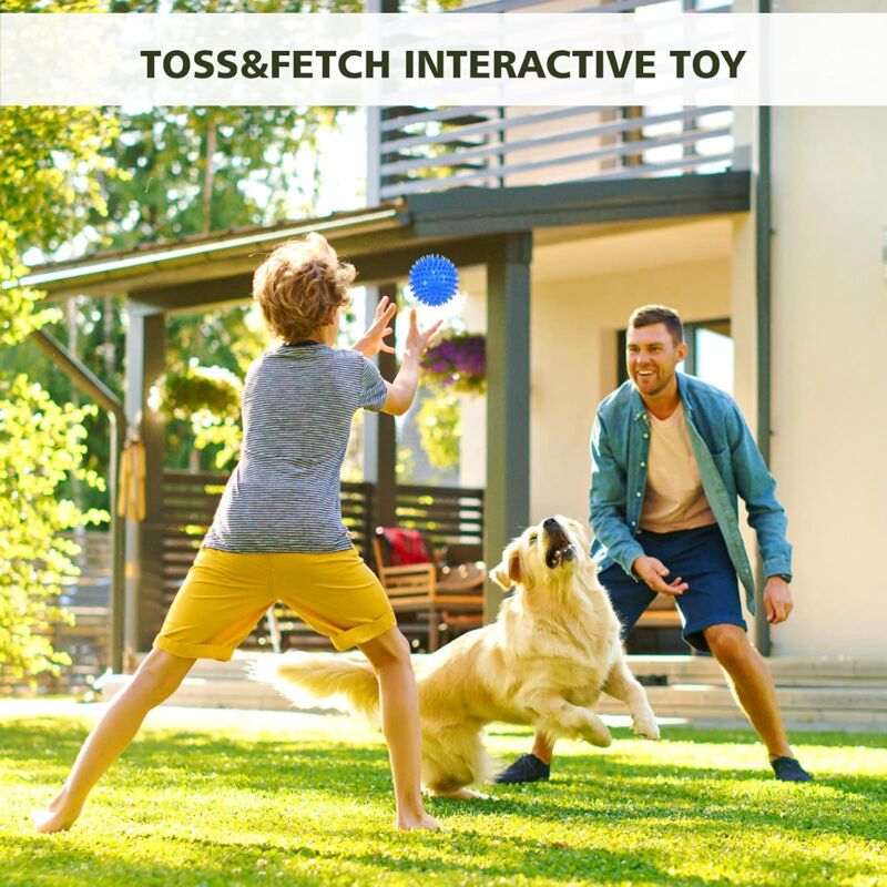 3 Pack Squeaky Dog Balls, Dog Chew Ball, Floating Pool Toy, Puppy Throwing Toy, Chew Toy For Boredom