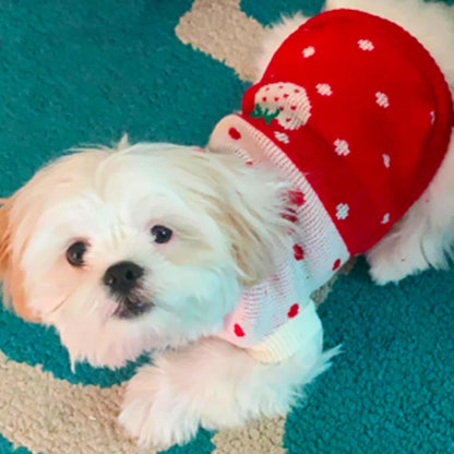 Dog Coat - Dog Sweater - Classic Turtleneck Knit Dog Sweater - Warm Winter Dog Clothes - Cute Strawberry Heart Pattern - Perfect for Small and Medium Dogs - Red - Size XXL