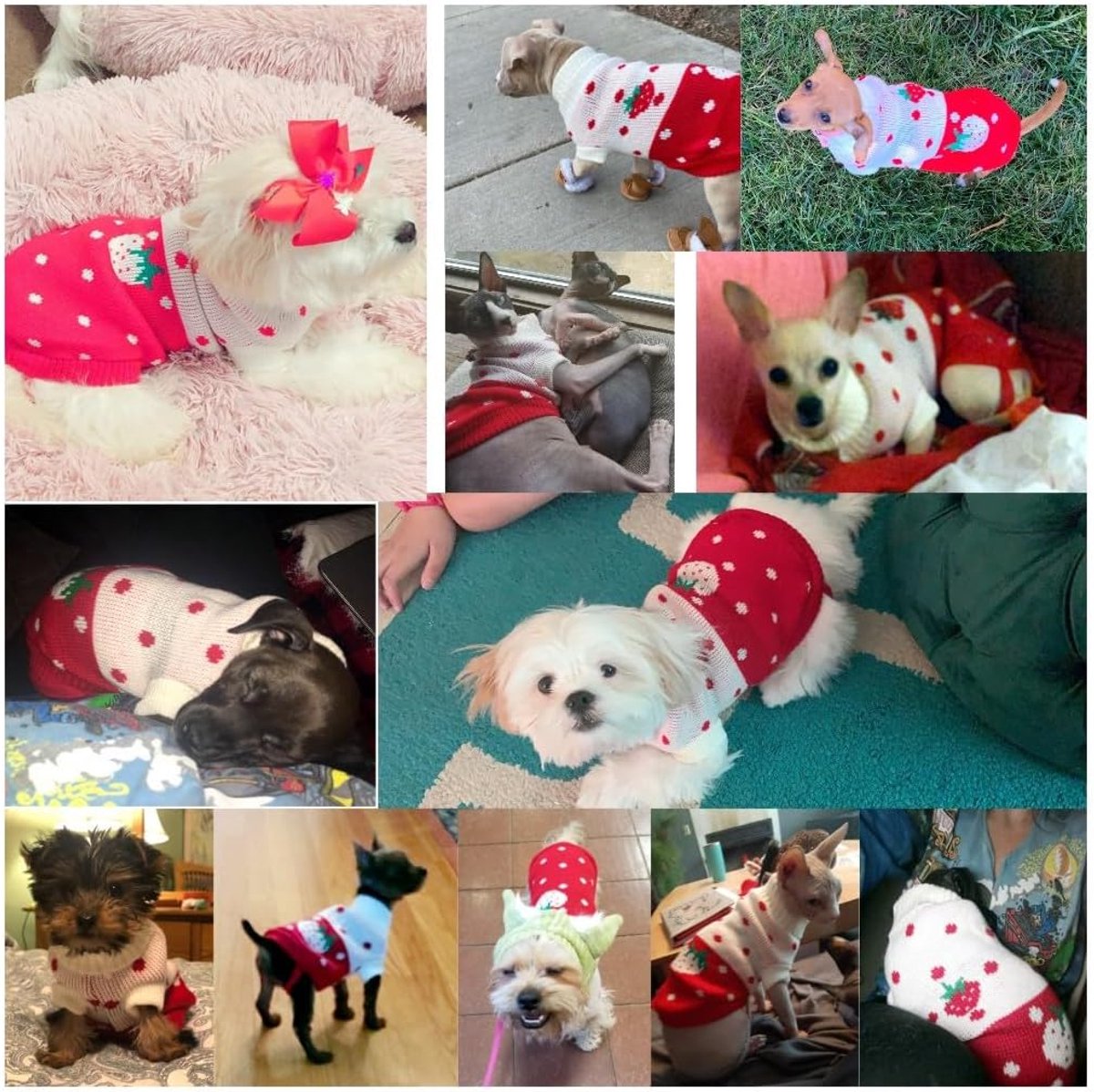 Dog Coat - Dog Sweater - Classic Turtleneck Knit Dog Sweater - Warm Winter Dog Clothes - Cute Strawberry Heart Pattern - Perfect for Small and Medium Dogs - Red - Size XXL