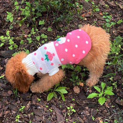 Dog Coat - Dog Sweater - Classic Turtleneck Knit Dog Sweater - Warm Winter Dog Clothes - Cute Strawberry Heart Pattern - Perfect for Small and Medium Dogs - Pink - Size XXL