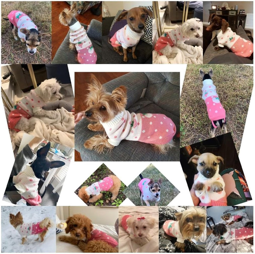 Dog Coat - Dog Sweater - Dog Pullover - Classic Turtleneck Knit Dog Sweater - Warm Winter Dog Clothes - Cute Strawberry Heart Pattern - Perfect for Small and Medium Dogs - Pink - Size S