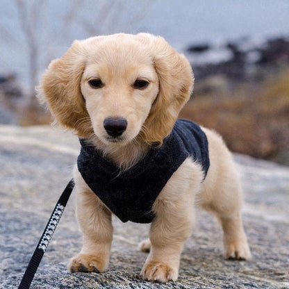 Dog Coat - Fleece Vest - Dog Sweater - Warm Winter Coat - Pull-On Fleece Coat - Leash with Ring - Perfect for Small and Medium Dogs - Black - Size L