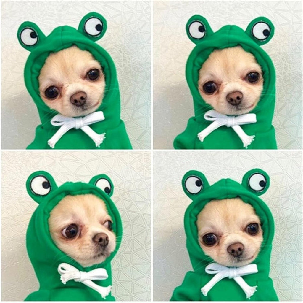 Dog Coat - Warm Winter Dog Clothes - Cute Frog Dog Coat - Hooded Sweatshirt - Warm Dog Coat - Fleece Dog Clothes - Perfect for French Bulldogs - Chihuahuas - Green - Size L