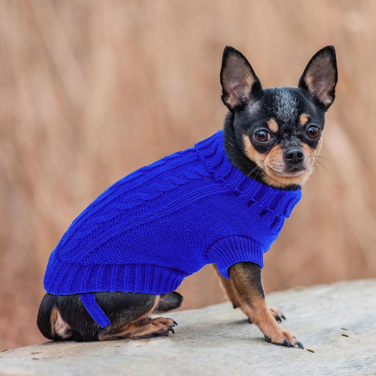 Dog Coat - Dog Sweater - Small Dog Sweater - Warm Dog Coat - Warm Puppy Sweater - Thick Knit Winter Sweater - Soft Roll Neck Sweater - Perfect for Small Dogs and Puppies - Christmas - Size M