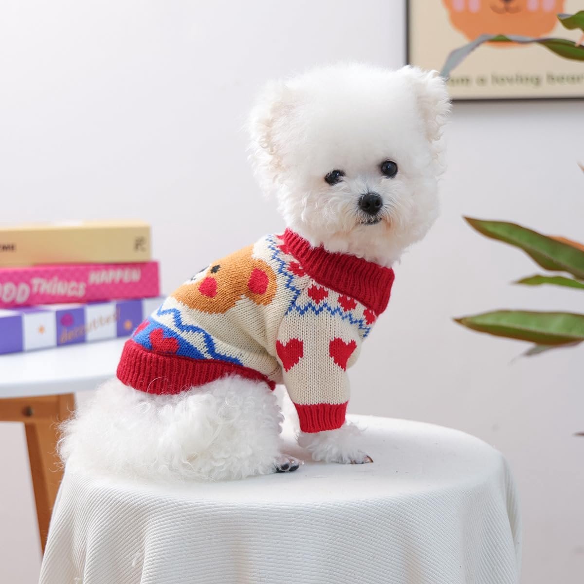 Dog Coat - Dog Sweater - Warm Winter Dog Clothes - Knit Sweater - Dog Pullover - Lightweight and Warm Cat Sweater - Perfect for Chihuahuas - Birthday Clothes - Christmas Decorations - Christmas - Size XL