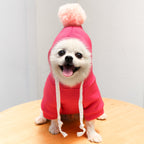 Dog Coat - Cute Fruit Pattern Coat - Warm Dog Coat - Hooded Sweatshirt - Fleece Dog Clothes - Perfect for French Bulldog - Chihuahua - Rose Red - XL - Party Decoration