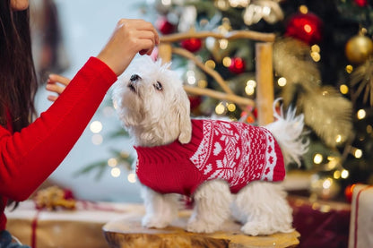 Dog Sweater - Christmas Dog Sweaters - Sleeveless Dog Sweaters - Dog Coat - Warm Autumn and Winter Puppy Sweater - Ugly Sweater - Perfect for Small Dogs - Dog - Medium - New Year's Holidays - XL