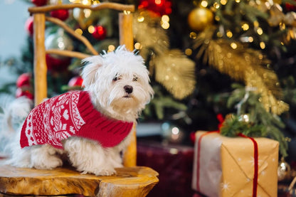 Dog Sweater - Christmas Dog Sweaters - Sleeveless Dog Sweaters - Dog Coat - Warm Autumn and Winter Puppy Sweater - Ugly Sweater - Perfect for Small Dogs - Dog - Medium - New Year's Holidays - XL