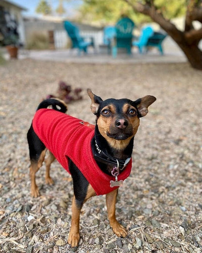 Dog Coat - Fleece Dog Vest - Winter Dog Coat - Warm Dog Coat - Fleece Dog Sweater - Ring Leash - Perfect for Small and Medium Dogs - Red - Size M