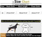 Dog Coat - Dog Raincoat - Reflective Dog Raincoat - With Hood - Adjustable Raincoat - Lightweight Raincoat - Yellow - Size M - Perfect for Small and Medium-Sized Dogs