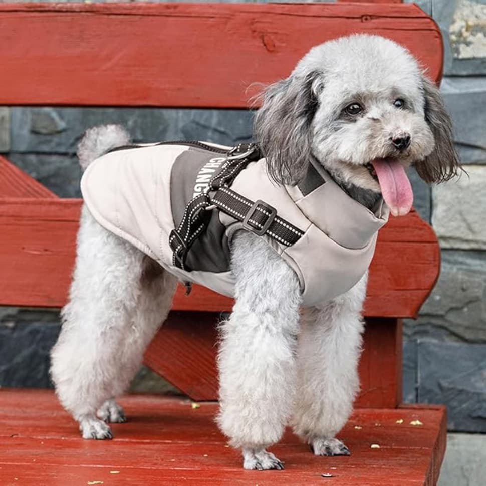2PCS Warm Soft Winter Dog Vest with Stand Collar, Wind and Waterproof, Multiple Colors, S M L, XL, Beige