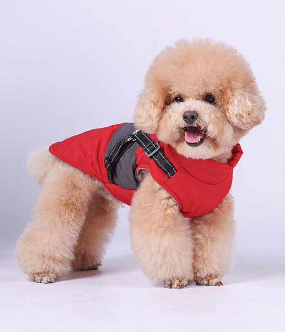 1 Warm Soft Winter Dog Vest with Stand Collar, Wind and Waterproof, Multiple Colors, S M L XL, Red