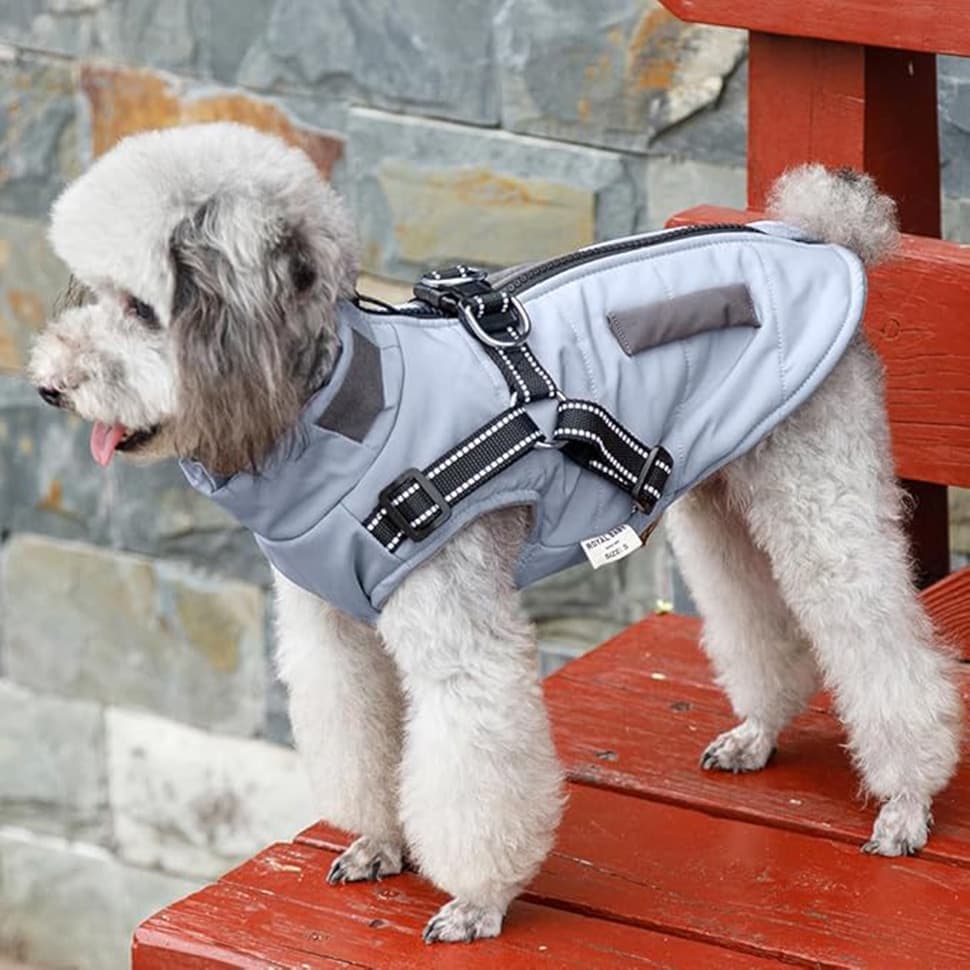 Warm Soft Winter Dog Vest with Stand Collar, Wind and Waterproof, Multiple Colors, Blue, S M L XL