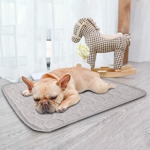 Cooling Mat for Dogs and Cats, 100×70cm, XL, Gray, Breathable in Multiple Colors