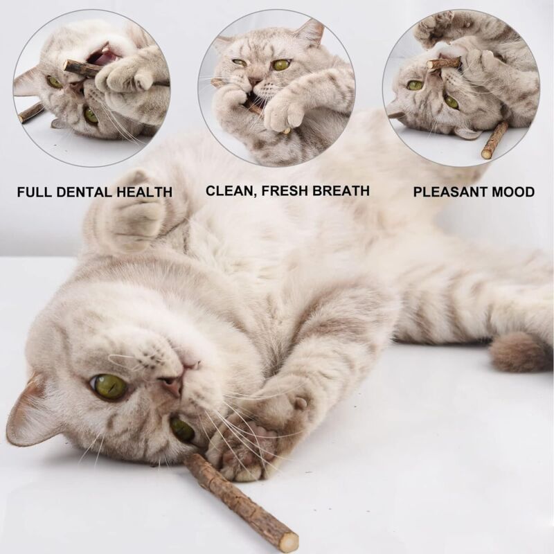 10 Pack Matatabi Sticks for Cats, Natural Dried Catnip Chew Toy