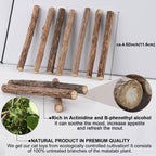 10 Pack Matatabi Sticks for Cats, Natural Dried Catnip Chew Toy