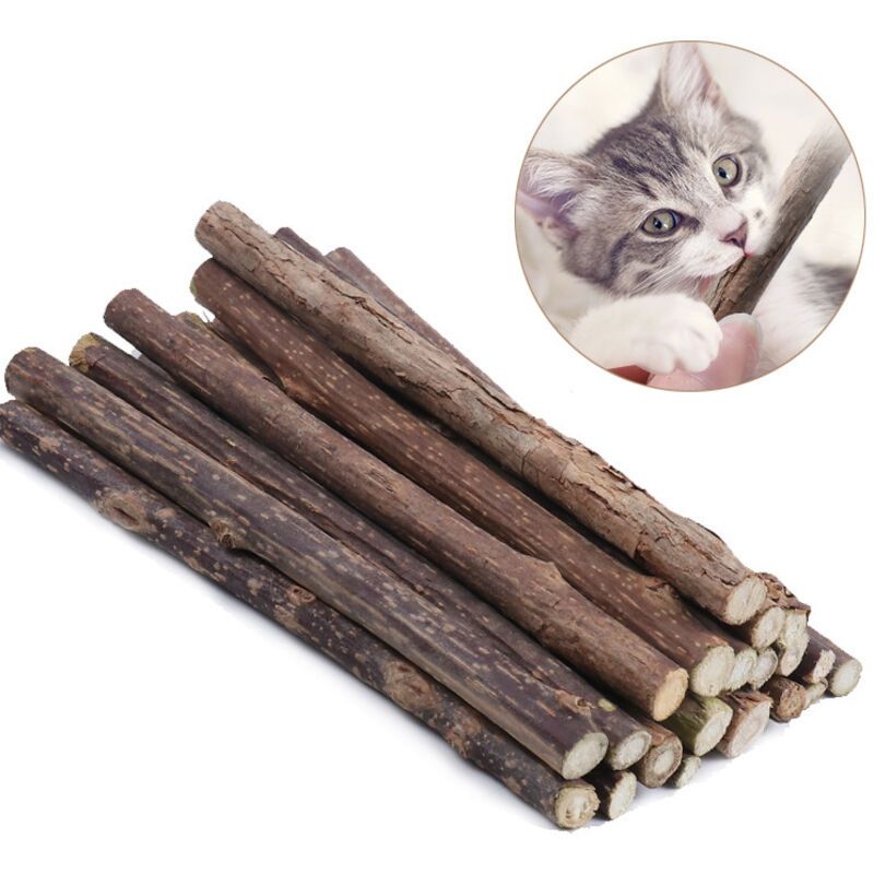 10 Pack Matatabi Sticks for Cats, Natural Dried Catnip Chew Toy