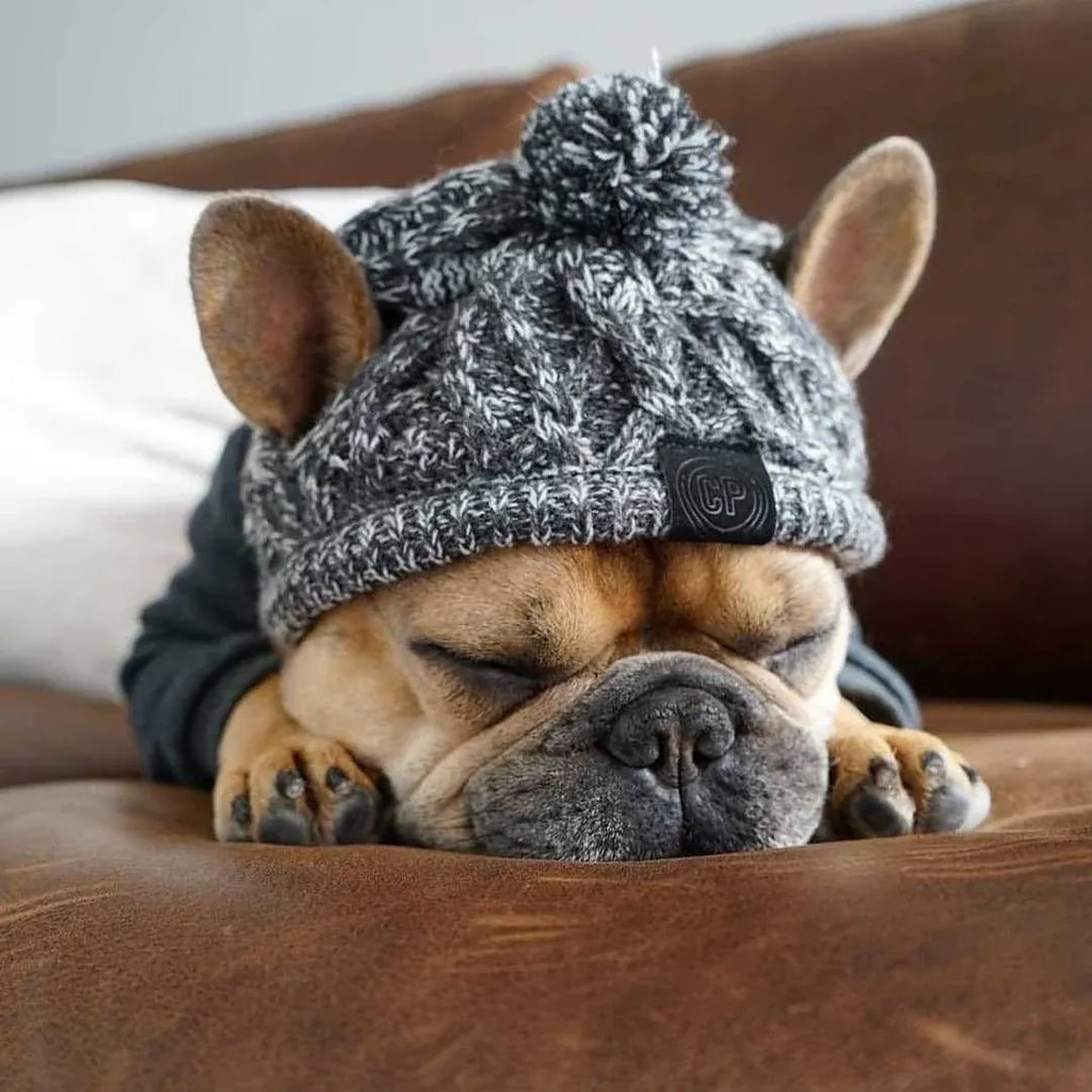Dog Hat Knitted Windproof Winter Pom Hat, Black, M