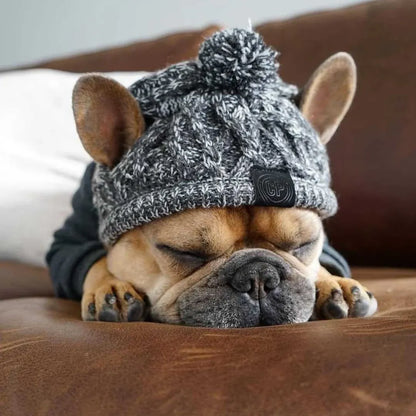 Dog Hat Knitted Windproof Winter Pom Hat, Black, M
