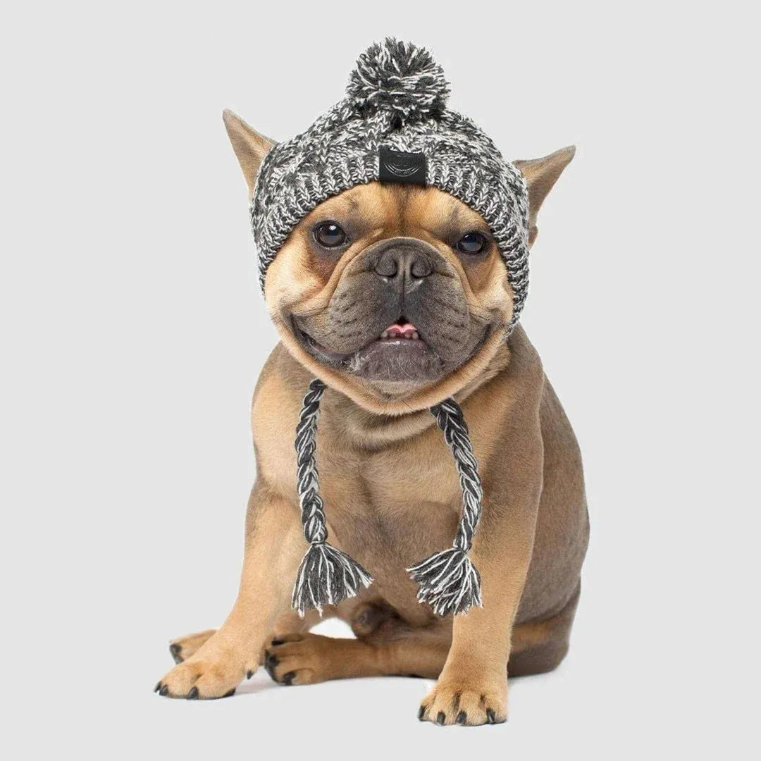 Dog Hat Knitted Windproof Winter Pom Hat, Black, M