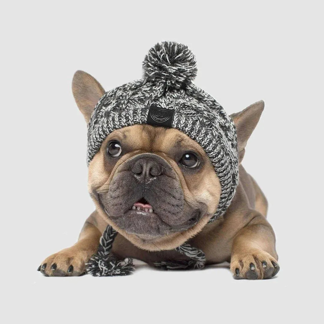 Dog Hat Knitted Windproof Winter Pom Hat, Black, M