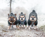 Dog Hat Knitted Windproof Winter Pom Hat, Black, M