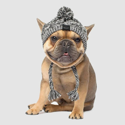 Dog Hat Knitted Windproof Winter Pom Hat, Black, S