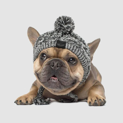Dog Hat Knitted Windproof Winter Pom Hat, Black, S
