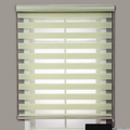Day-Night Zebra Roller Blind, Green Light-Filtering Window Shade, 50 x 120 cm