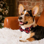 Christmas Dog Bow Tie - Festive Dog Bow Tie - Collar with Bow - Dog Collar - Red - Checkered Bowtie - Adjustable Neckline - Dog Accessories - Dog Clothing - Dogwear - Christmas - Gift - Size L