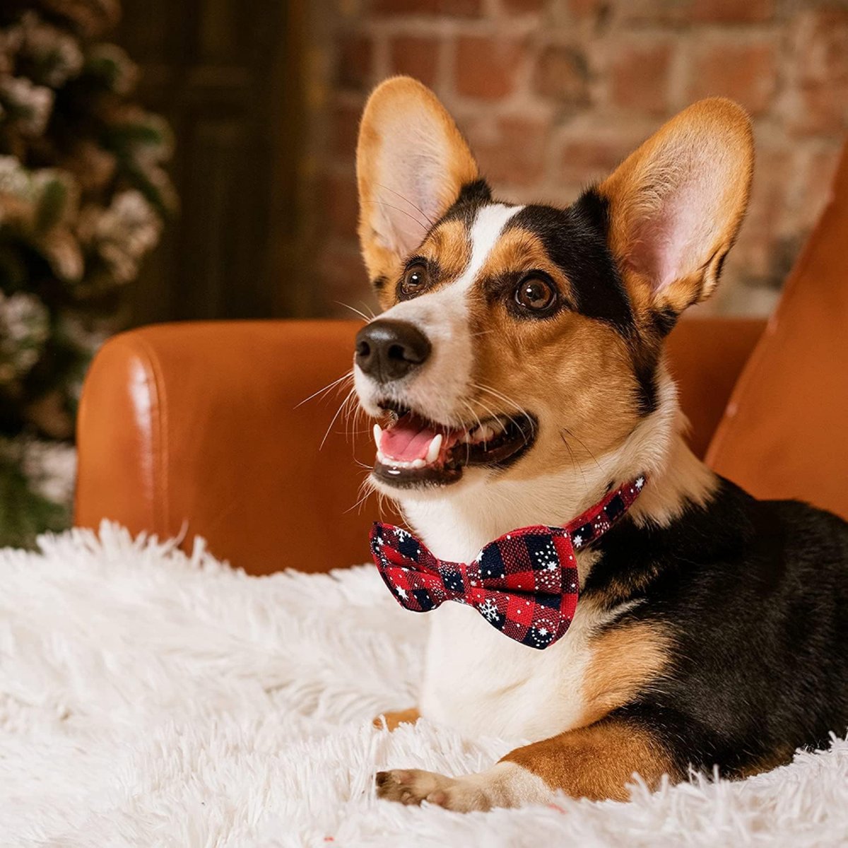 Christmas Dog Bow Tie - Festive Dog Bow Tie - Collar with Bow - Dog Collar - Red - Checkered Bowtie - Adjustable Neckline - Dog Accessories - Dog Clothing - Dogwear - Christmas - Gift - Size S
