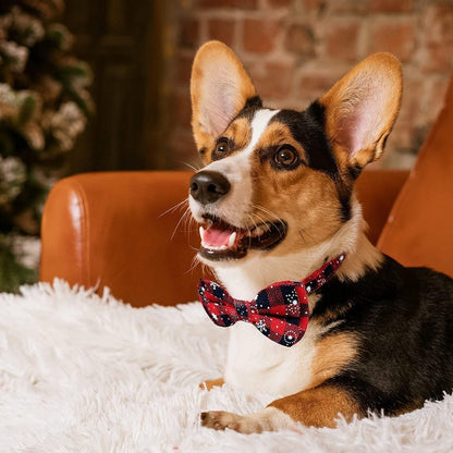 Christmas Dog Bow Tie - Festive Dog Bow Tie - Collar with Bow - Dog Collar - Red - Checkered Bowtie - Adjustable Neckline - Dog Accessories - Dog Clothing - Dogwear - Christmas - Gift - Size S