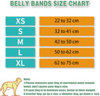 Dog Heat Pants - 3 Pieces - Dog Pants - Dog Diaper - Size L - Super Absorbent - Washable - Reusable - Prevents Unwanted Pregnancies in Female Dogs - Eco-Friendly - Perfect Fit - For Incontinence and Heat