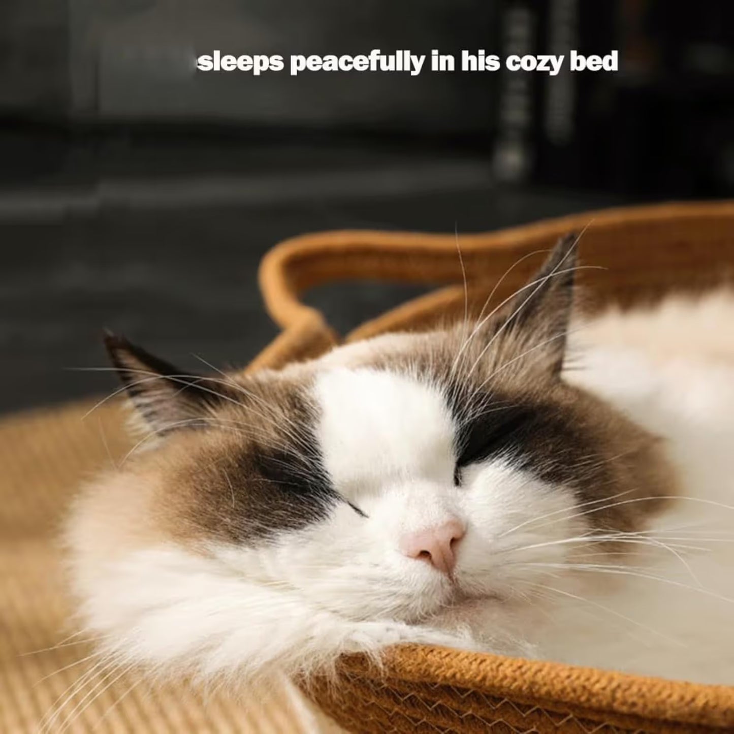 Cat Bed Rope Cotton, Cotton Rope Woven Round Cat Beds Basket with Built-in Teasing Ball, Handwoven Foldable Scratchable for Small & Large pet Gray（L）